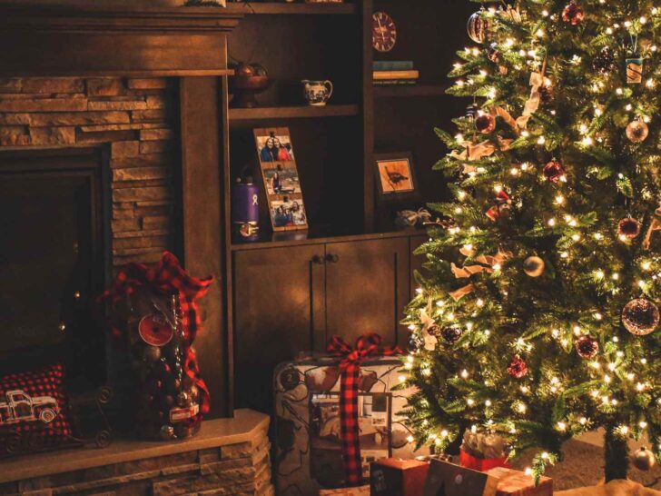 Christmas fun facts