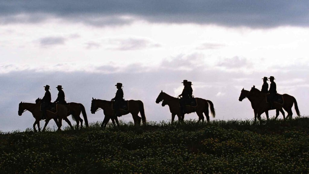 fun facts about Texas