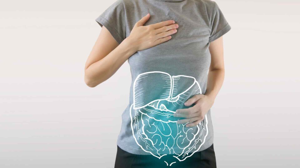 145 Fun Facts About The Digestive System