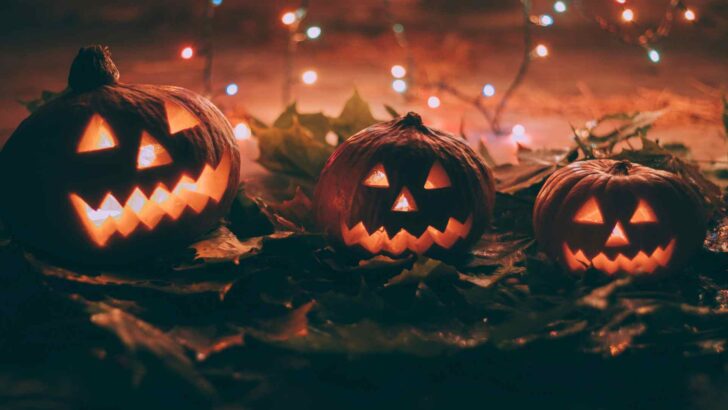 Orange pumpkins arranged for a fall Halloween display