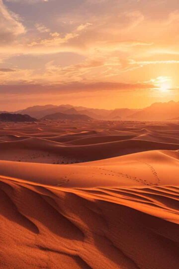 Deserts fun facts