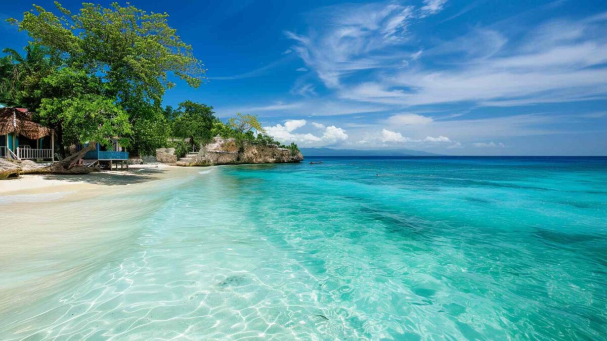 FUN FACTS ABOUT JAMAICA visual data 2