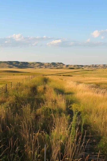 Kansas