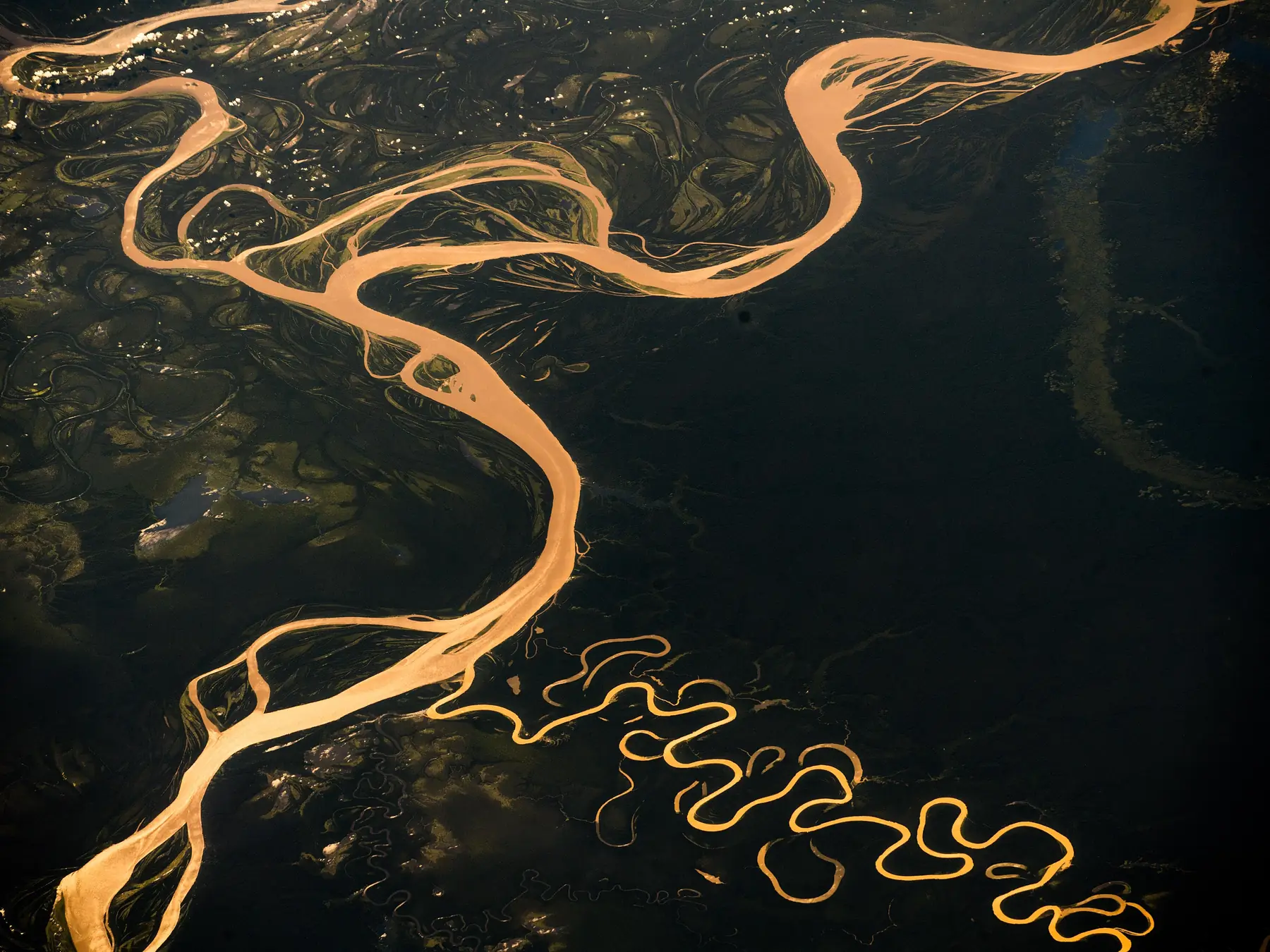 Winding Amazon River channels seen from above