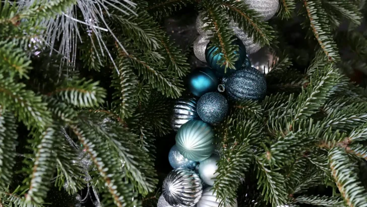 Blue and silver ornaments decorating Christmas evergreen branches