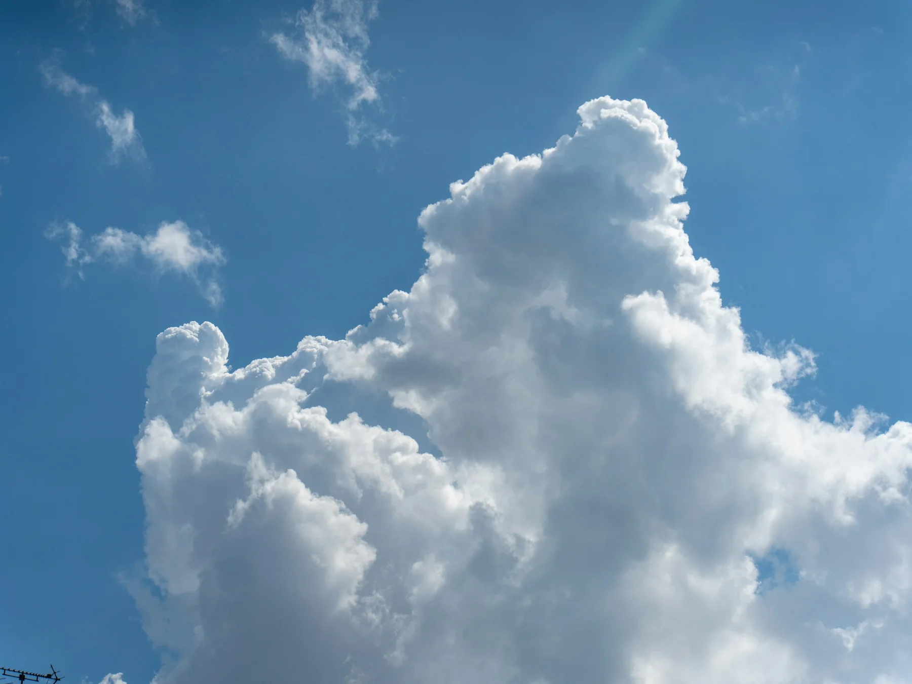 Large white cumulus cloud rising against a bright blue sky