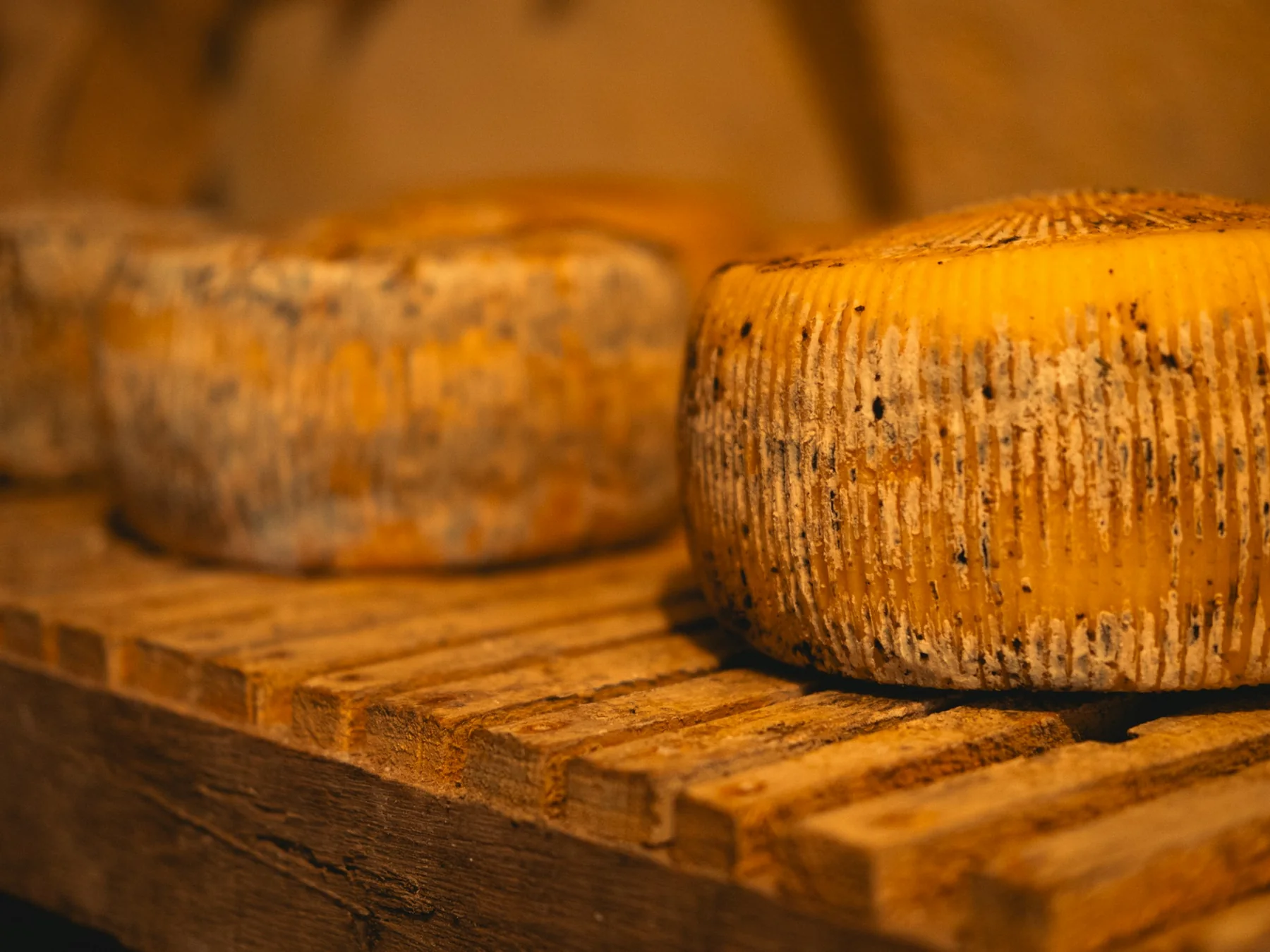 Aged cheese wheels resting on a wooden shelf