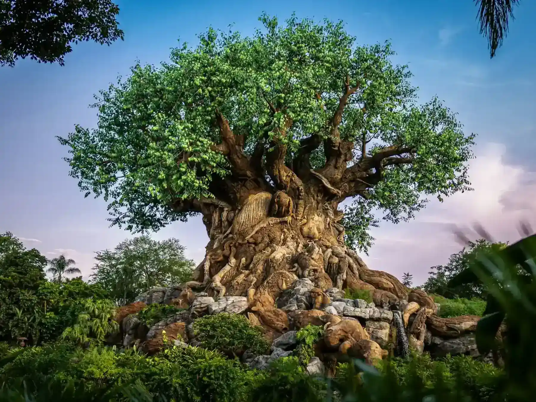 Tree of Life attraction at Disney's Animal Kingdom