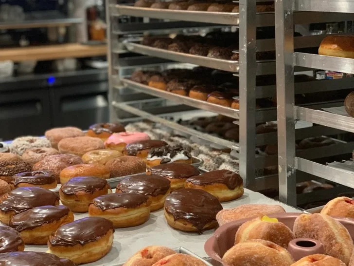 Assorted doughnuts displayed on bakery trays