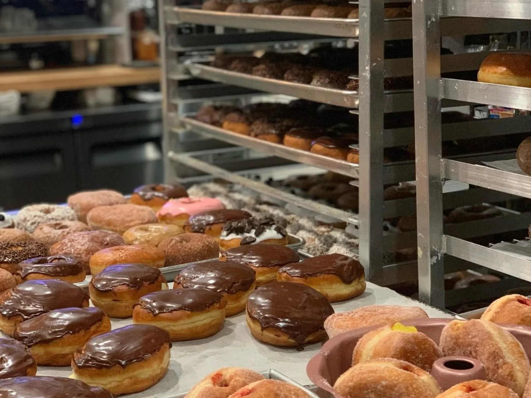 Assorted doughnuts displayed on bakery trays