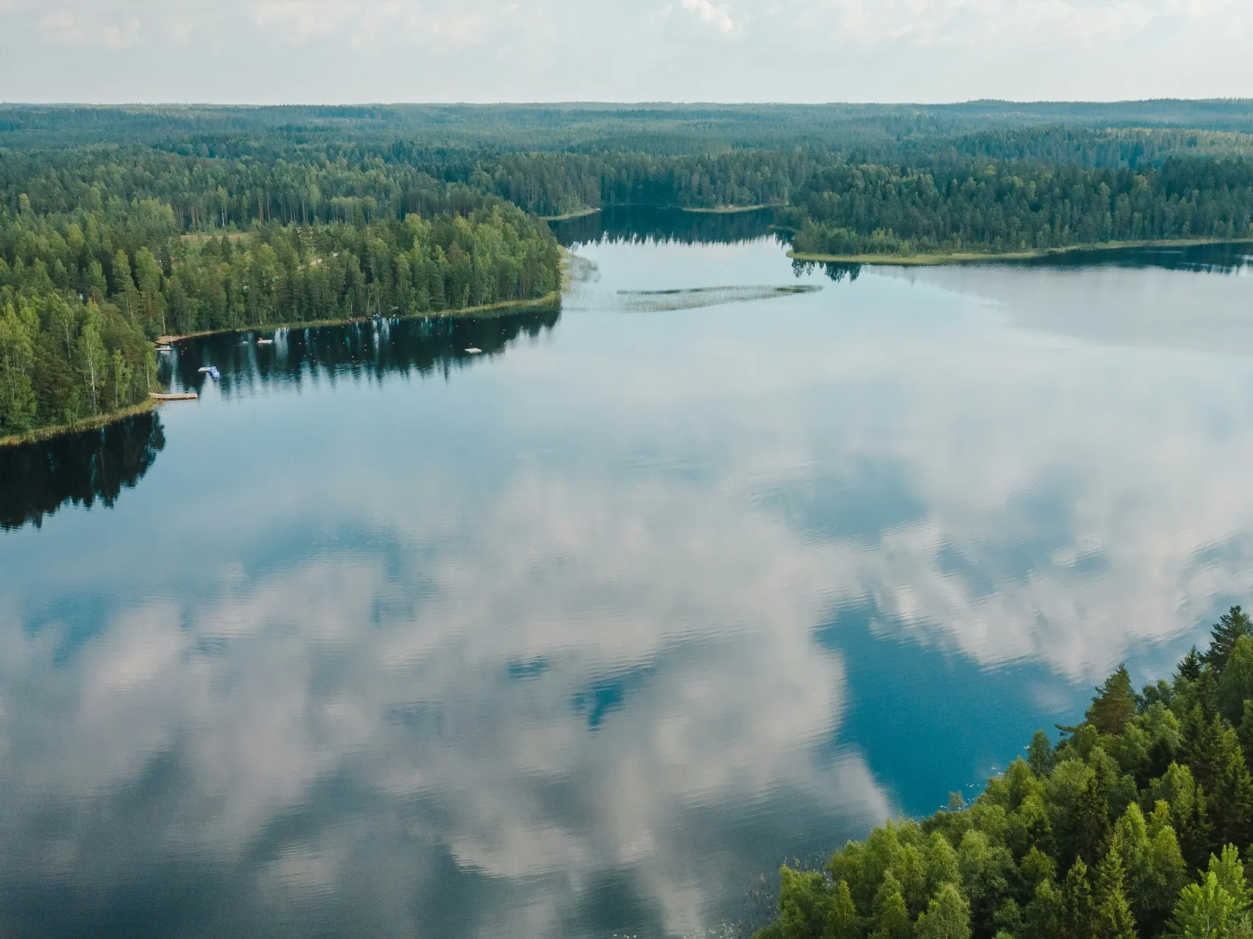 Calm lake surrounded by dense green forest in Finland