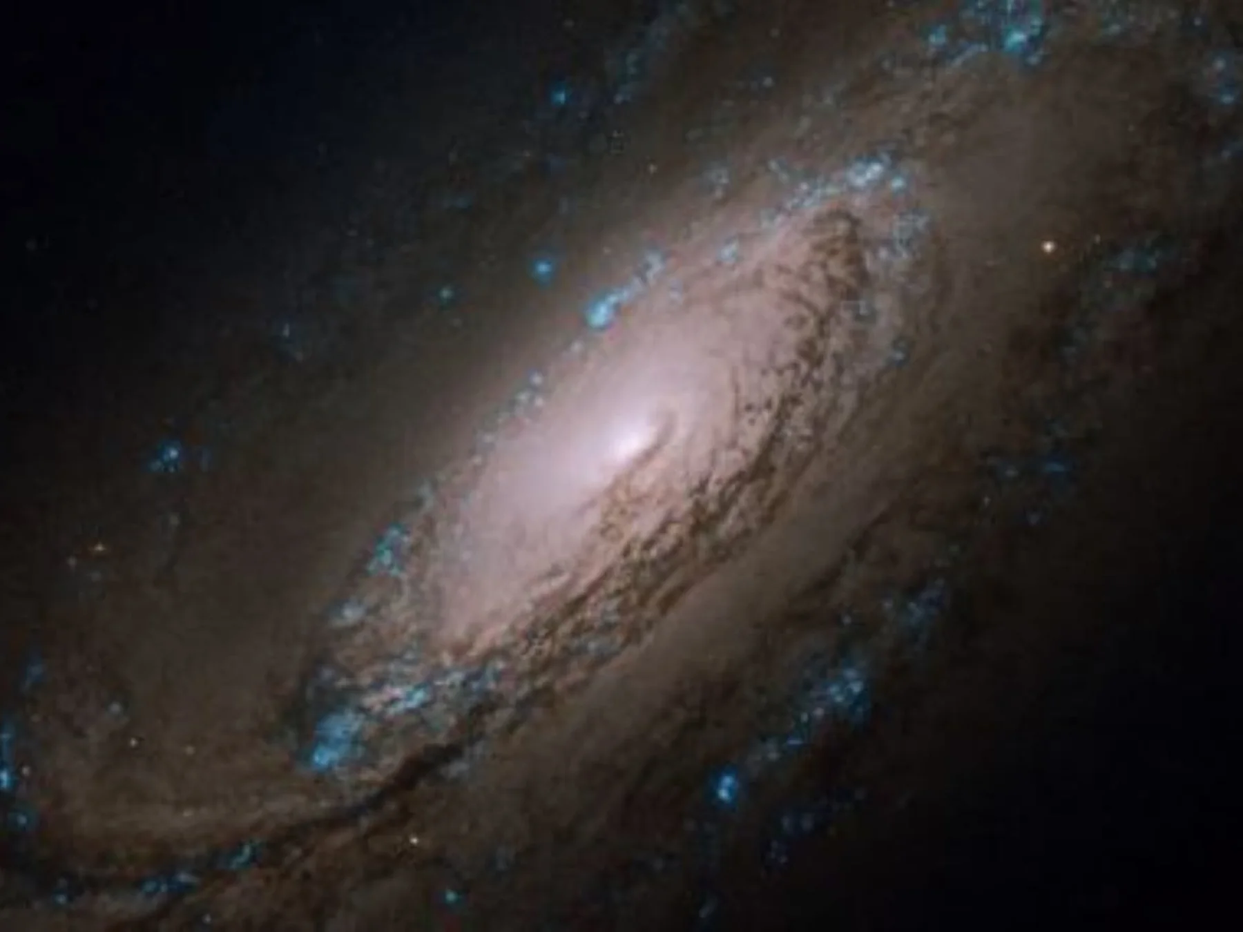 Andromeda Galaxy glowing in space
