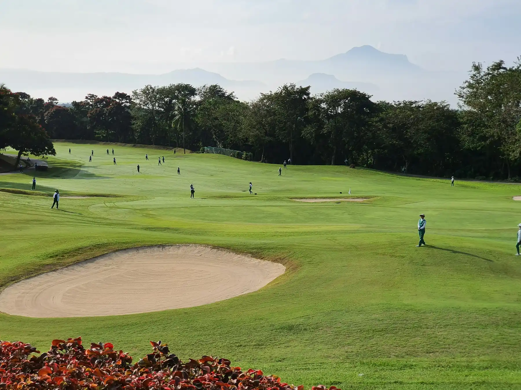 Wide view of a golf course green and bunker