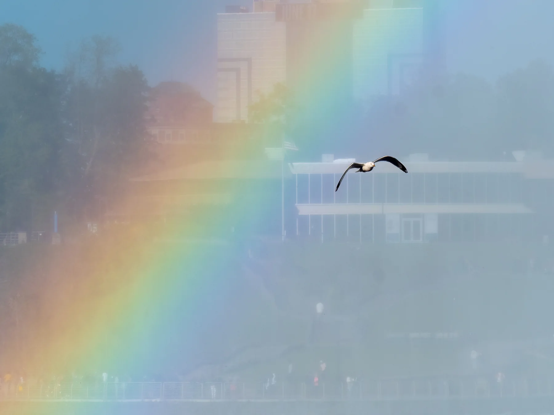 Bright rainbow arching across a misty valley