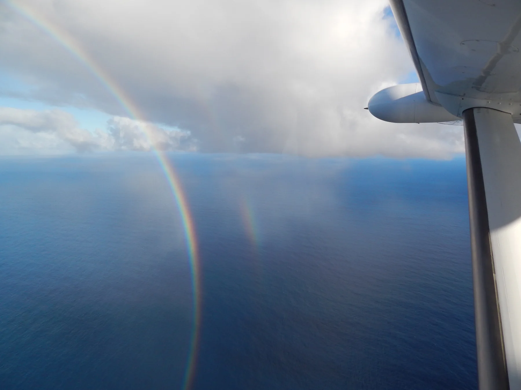 Rainbow over a coastal landscape with a bird in flight