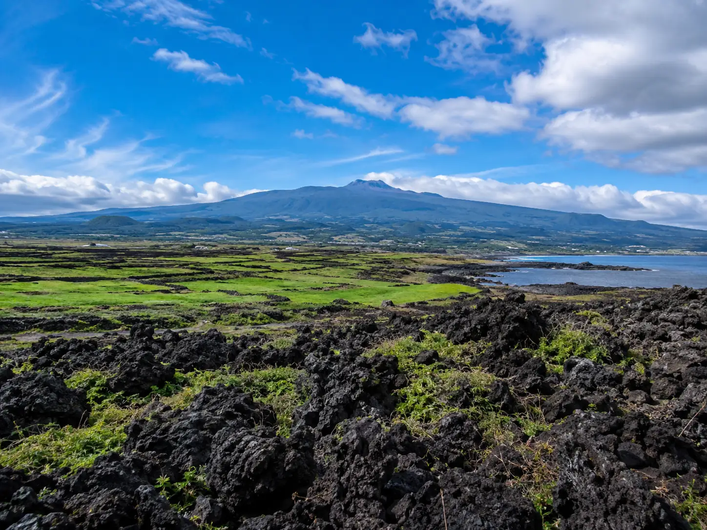 Green volcanic landscape on Jeju Island with Hallasan in the distance