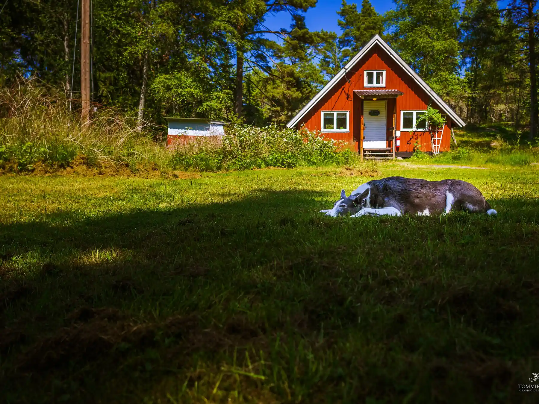 Traditional red wooden cottage in the Swedish countryside