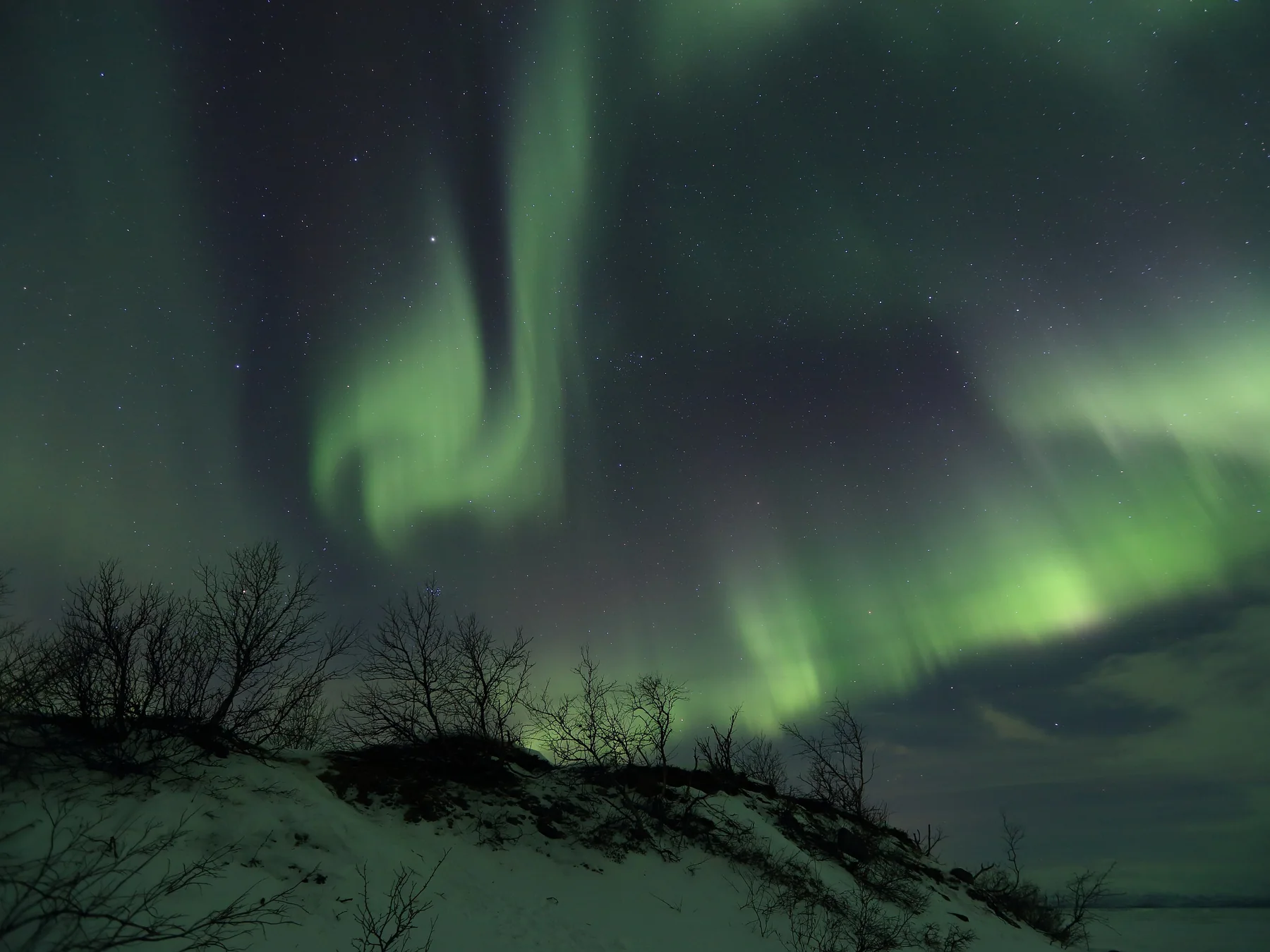 Green aurora borealis glowing over a snowy landscape in Abisko, Sweden