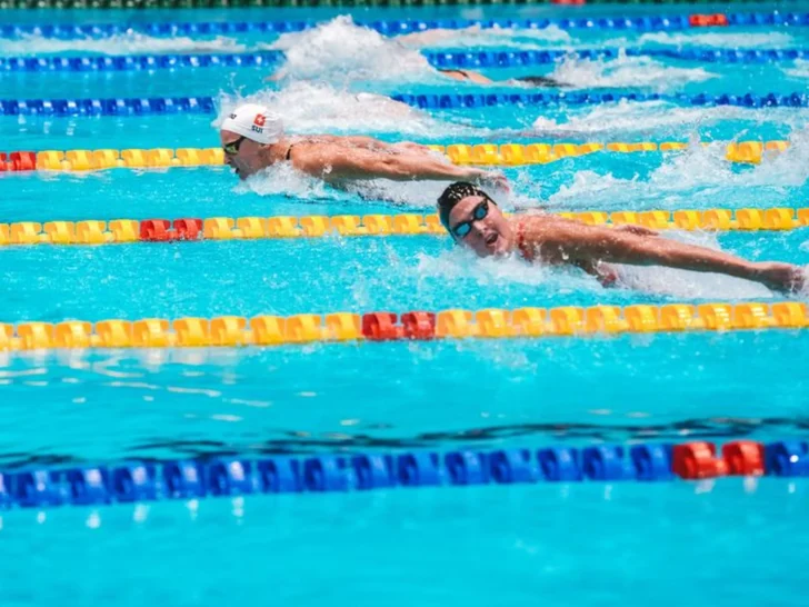 Competitive swimmers racing freestyle in a pool