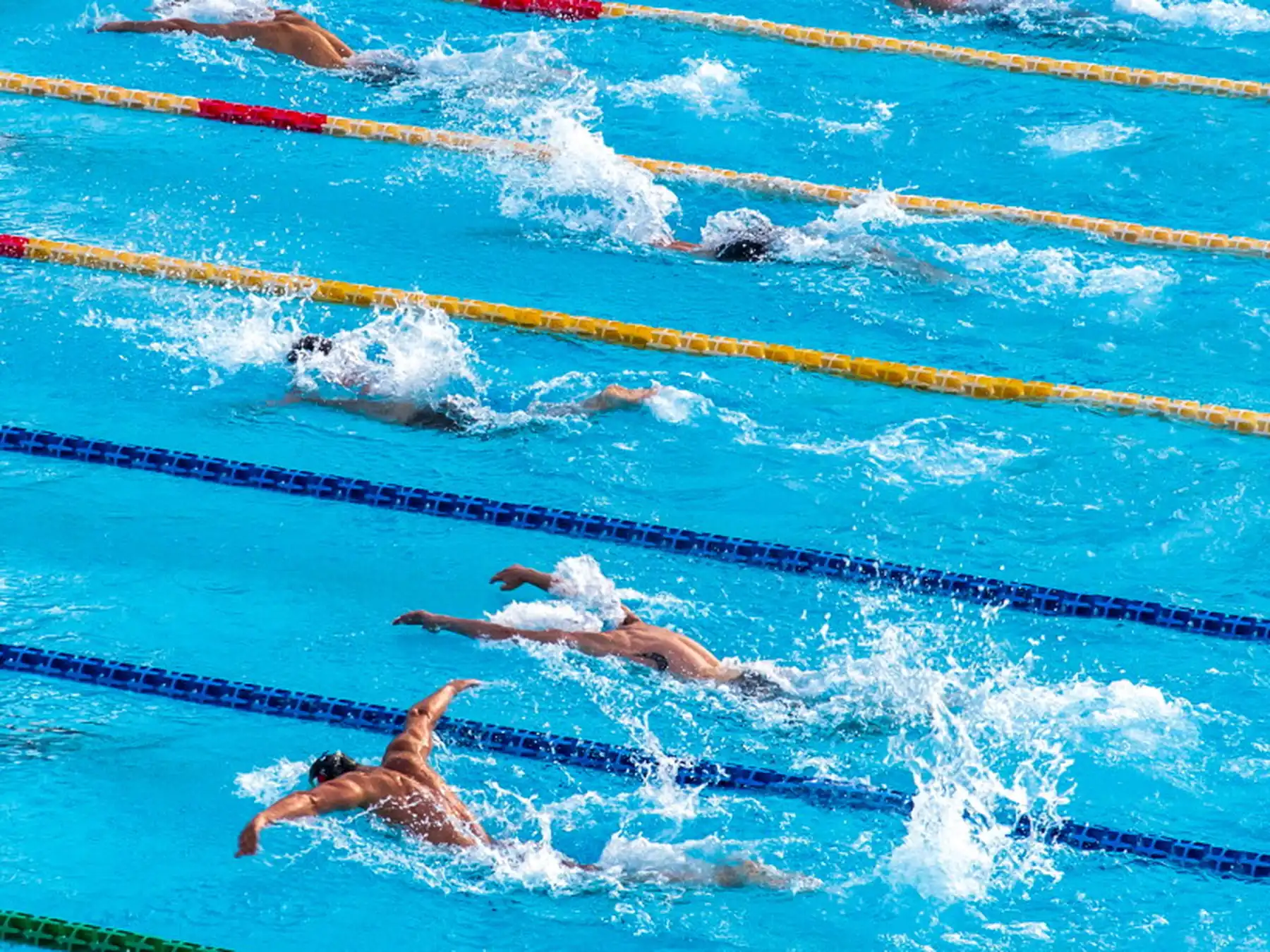 Swimmers racing in marked pool lanes