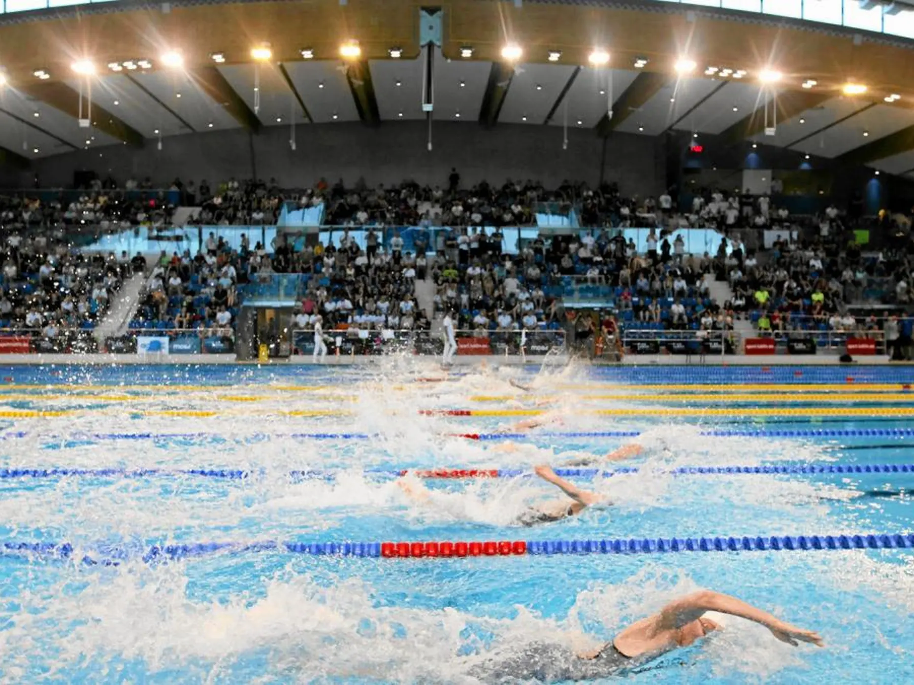 Swimming competition inside a crowded arena