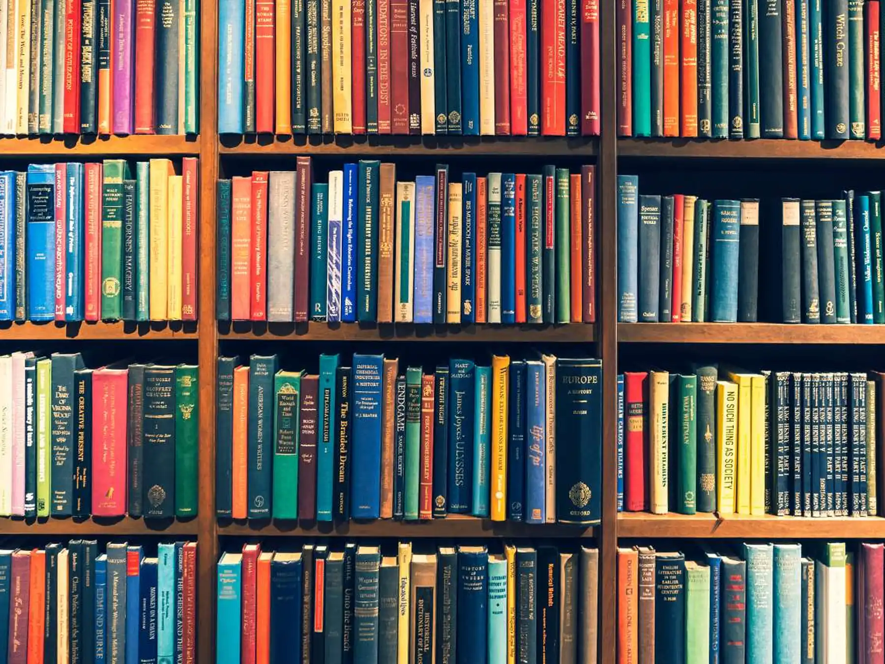 Rows of English-language books on library shelves