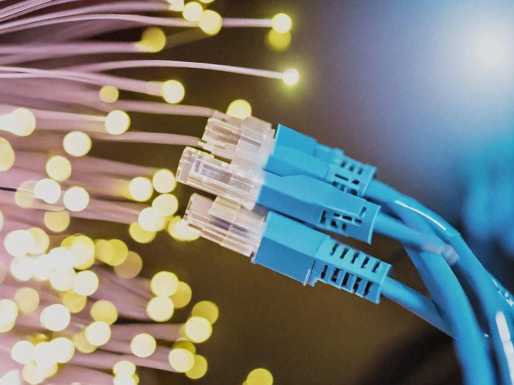 Blue Ethernet cables beside glowing fiber-optic strands