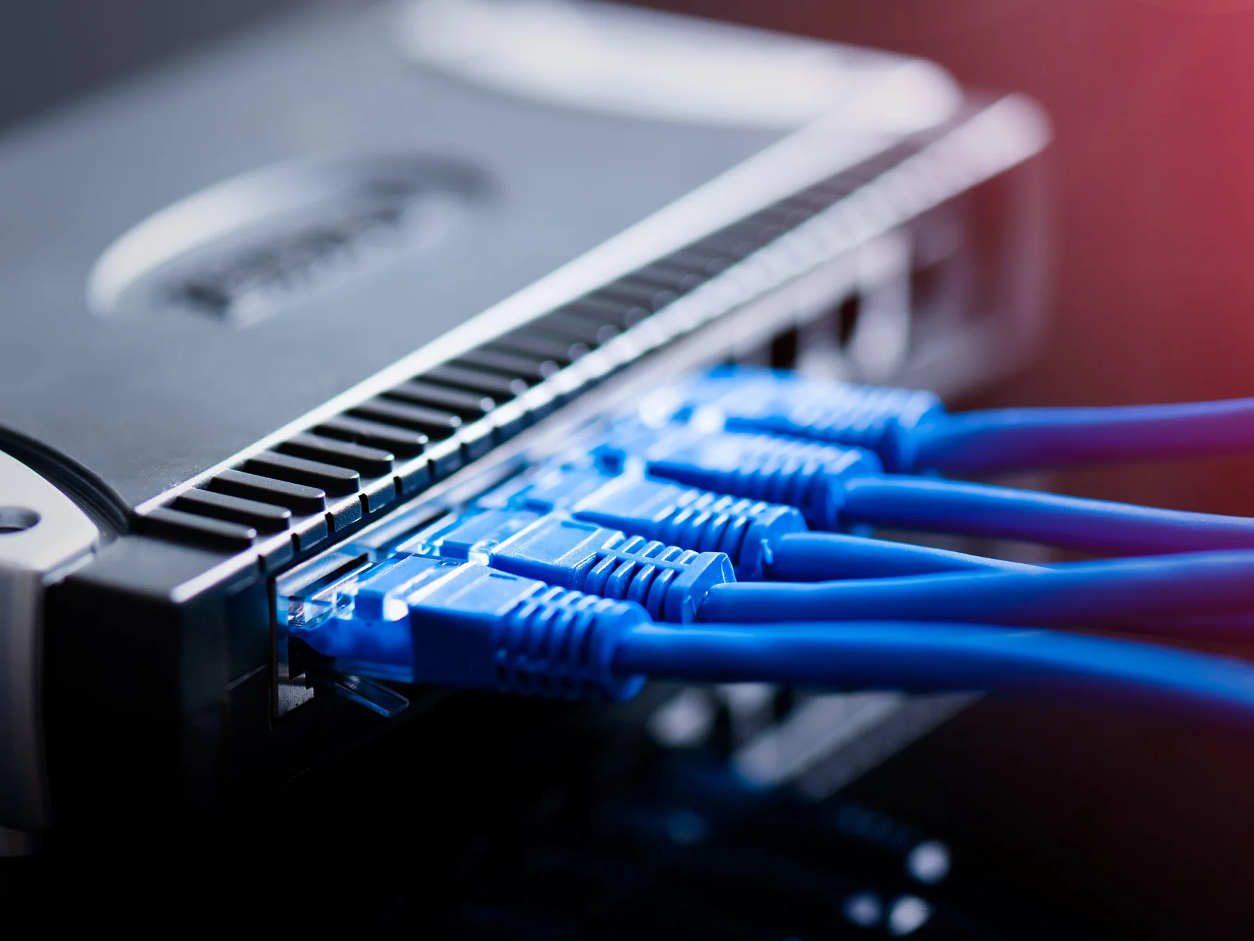 Blue Ethernet cables plugged into a network router