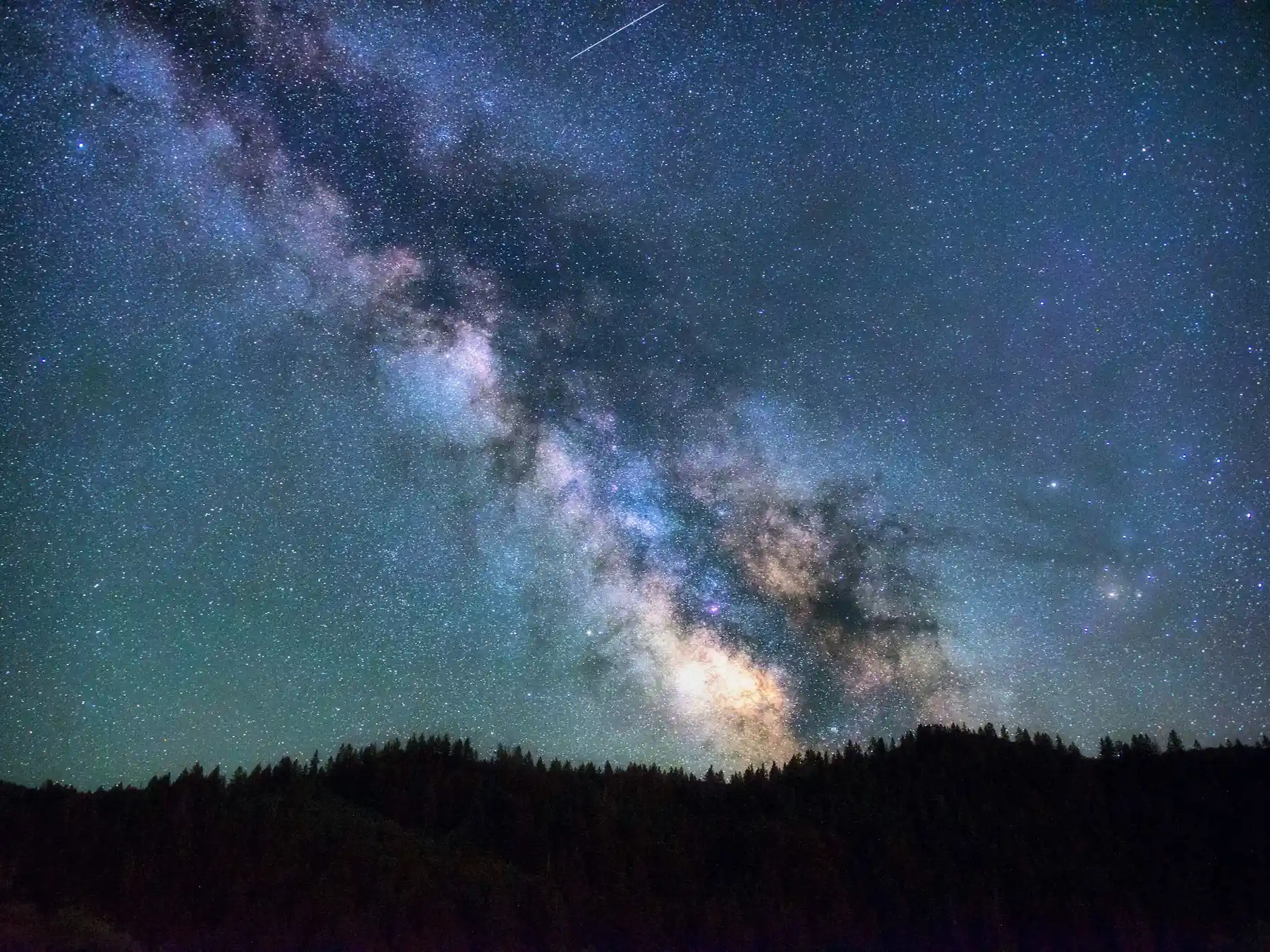 Milky Way glowing above a dark forest
