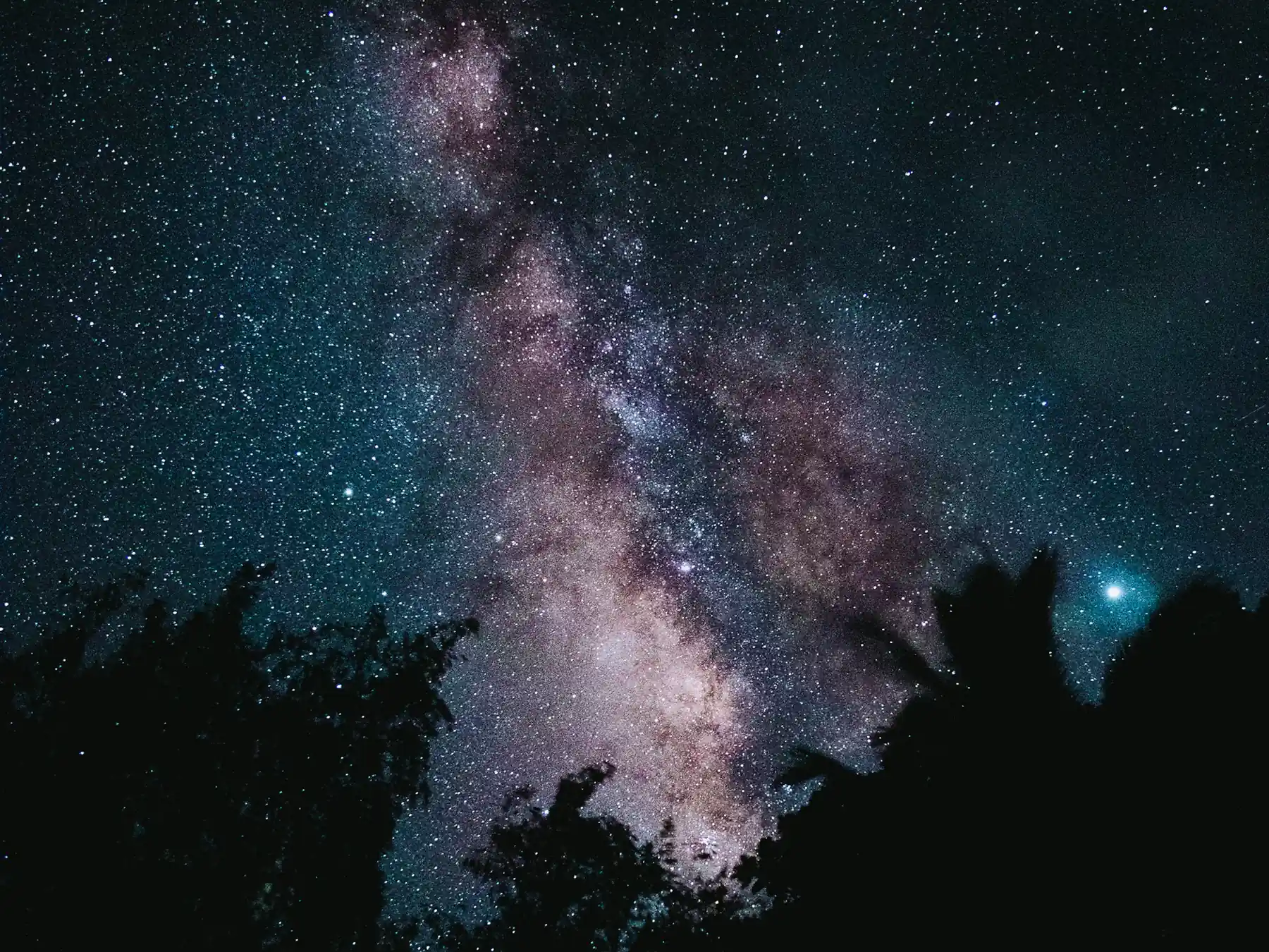 Milky Way rising above silhouetted trees