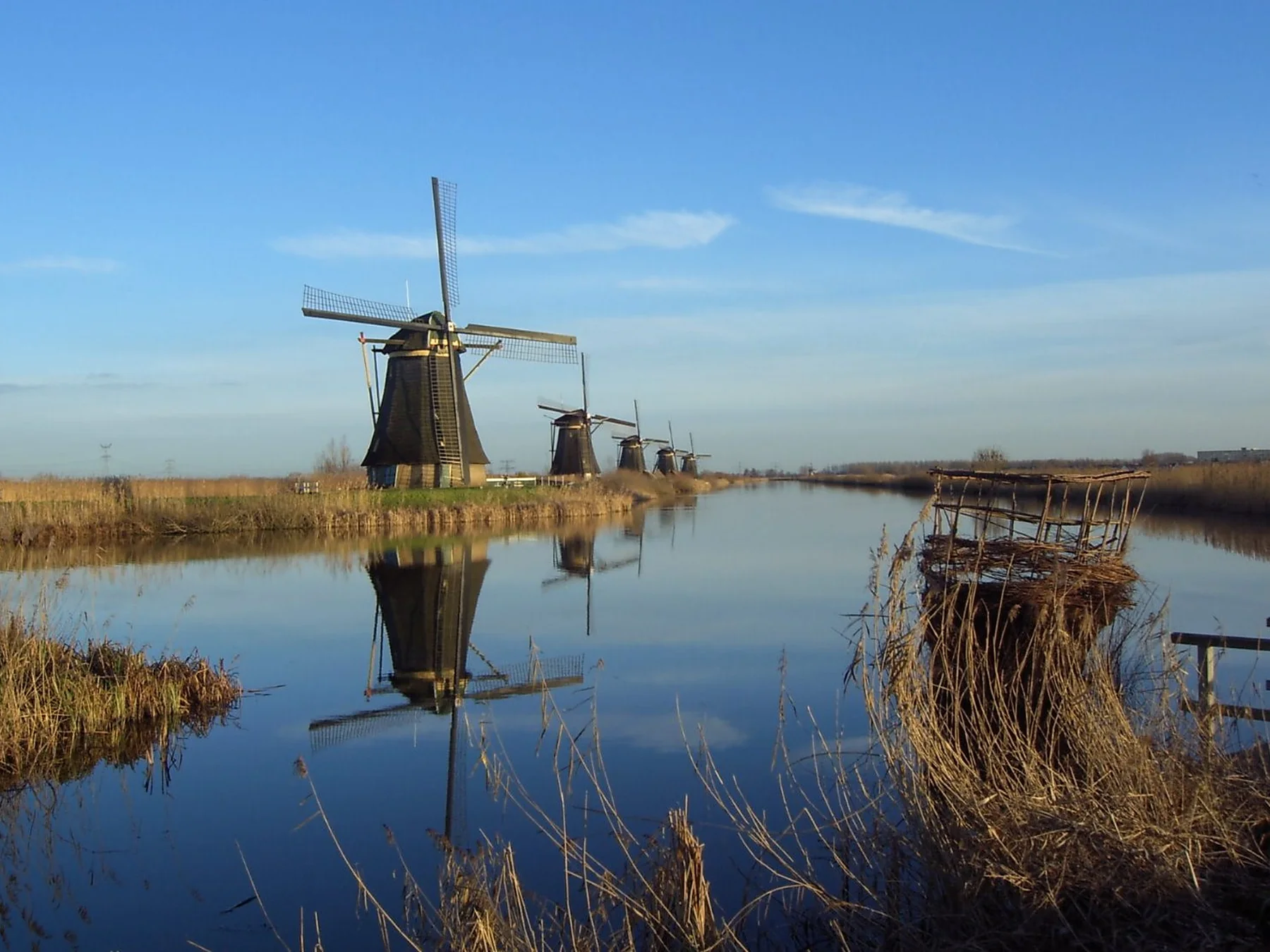 Traditional Dutch windmills beside a canal in the Netherlands