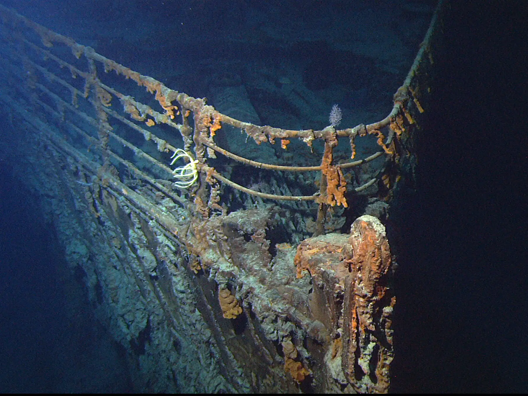 Bow of the Titanic wreck on the ocean floor