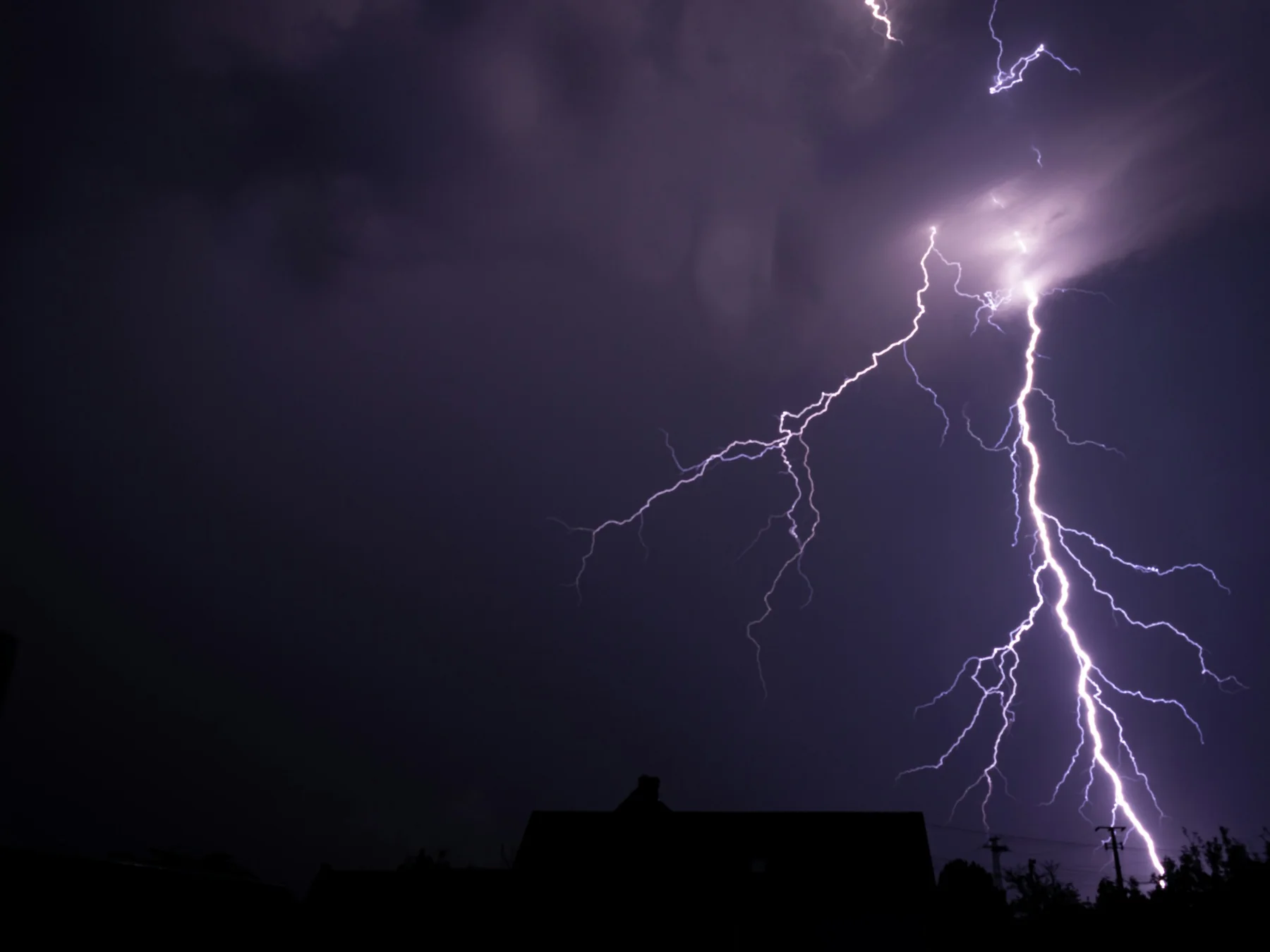 Bright branching lightning bolt crossing a dark night sky