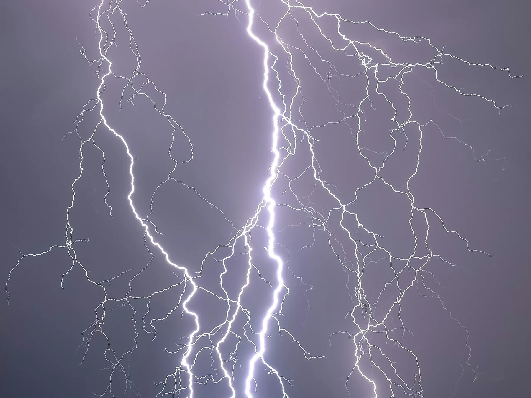 Multiple branching lightning bolts illuminating storm clouds
