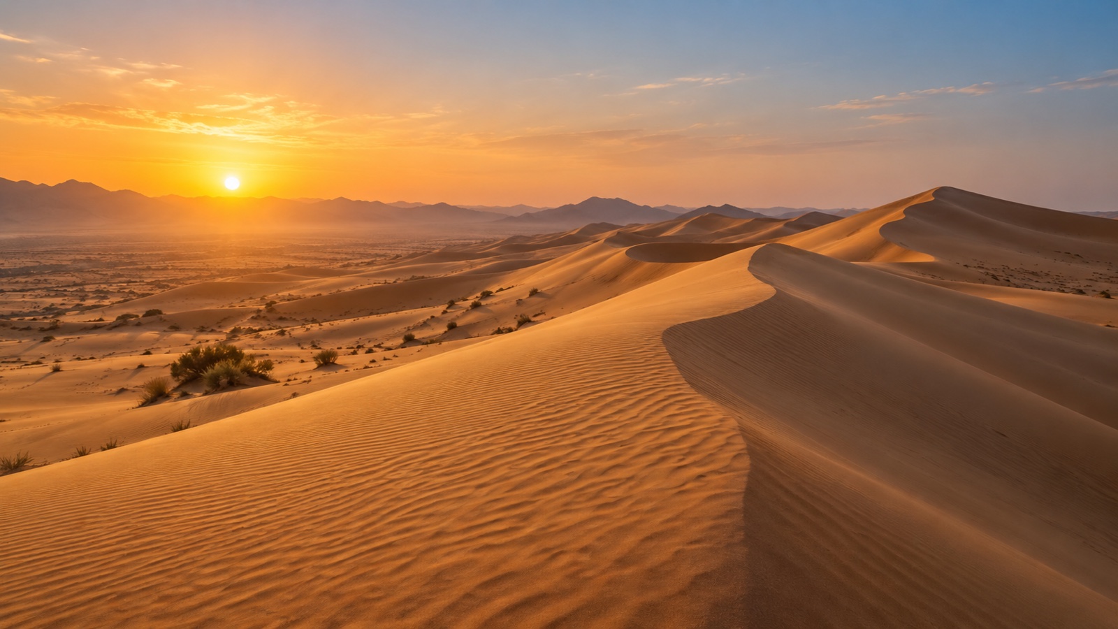 Golden UAE desert dunes under soft dawn sky