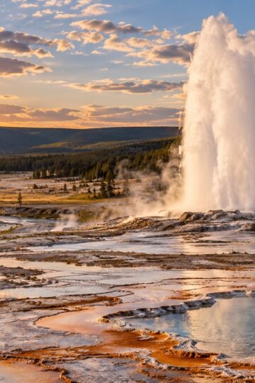 Yellowstone geyser erupting above a broad Wyoming thermal basin