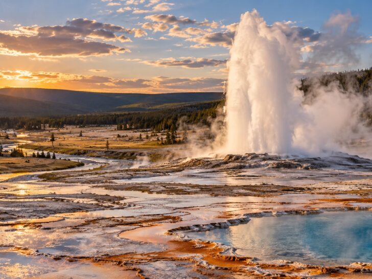 Yellowstone geyser erupting above a broad Wyoming thermal basin