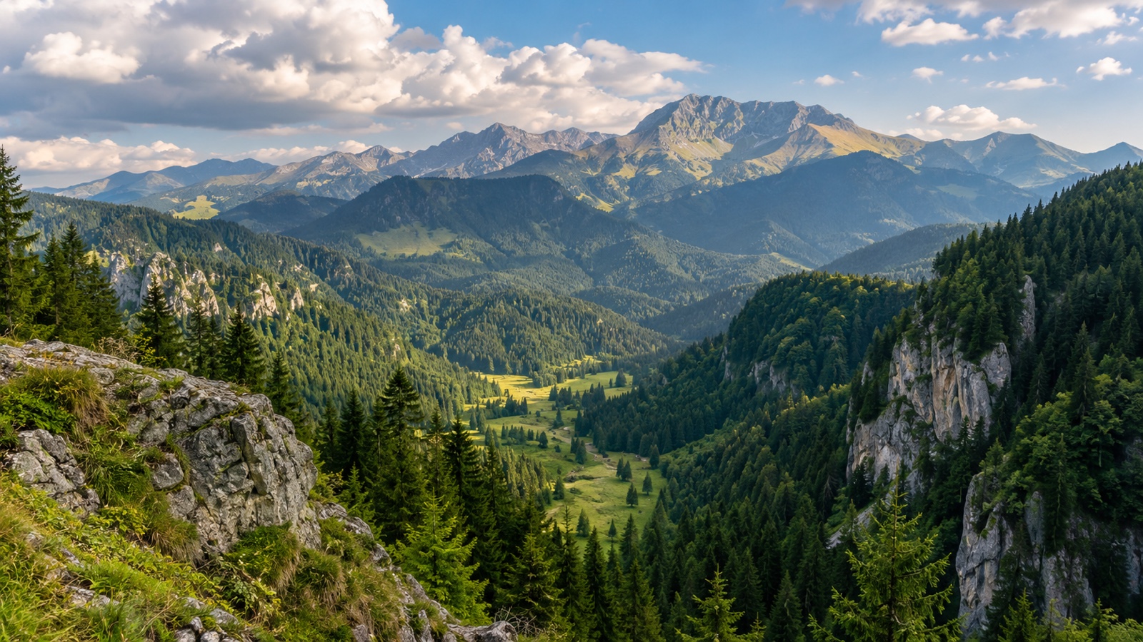 Carpathian Mountains of Romania with forested valleys.