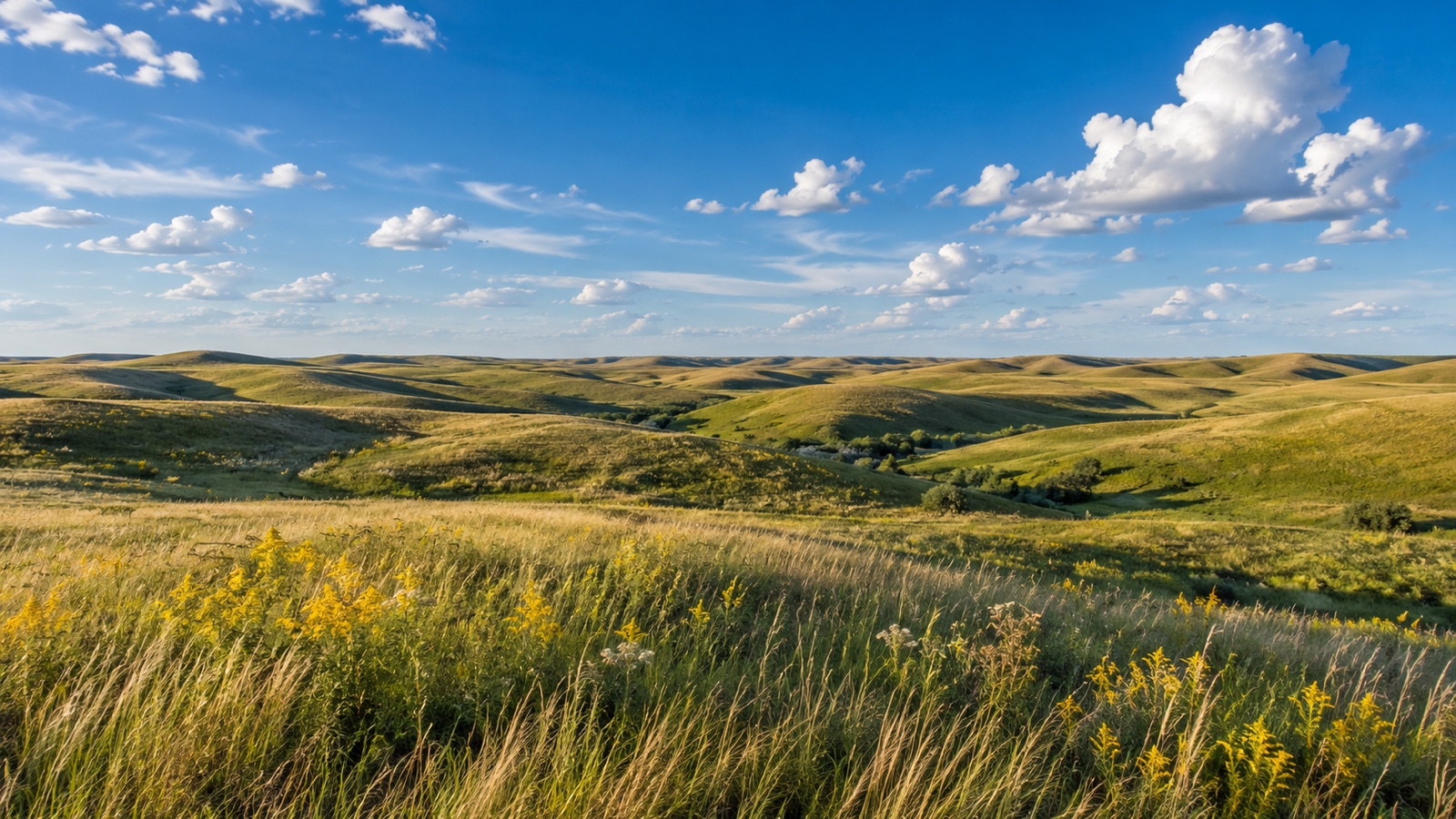 Rolling Nebraska Sandhills prairie under an immense blue sky.