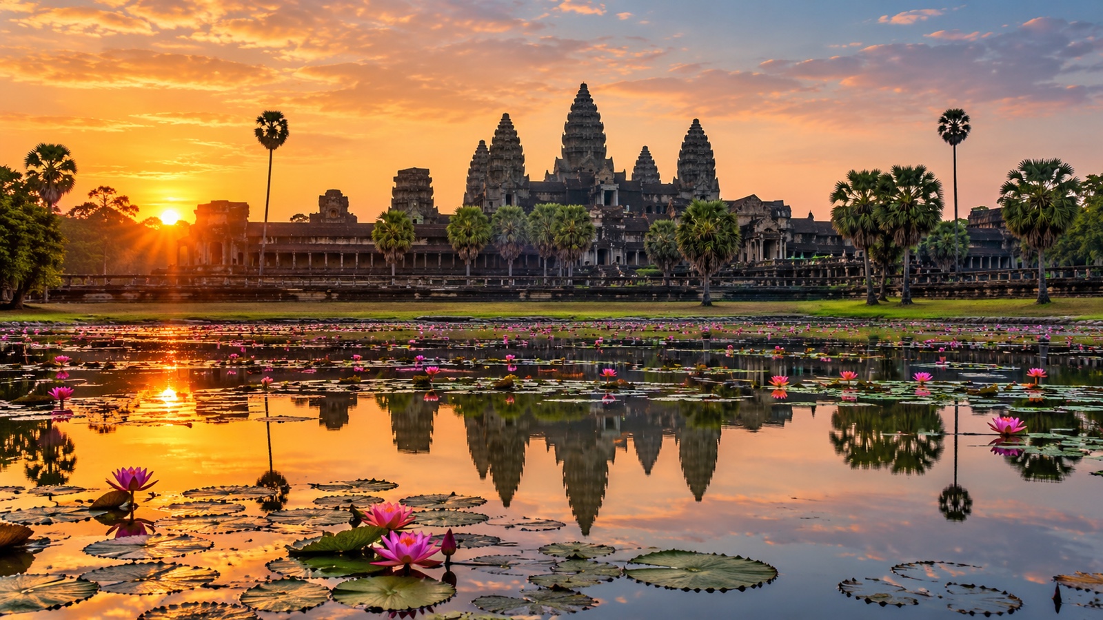 Angkor Wat temple reflected in a lotus pond at sunrise.