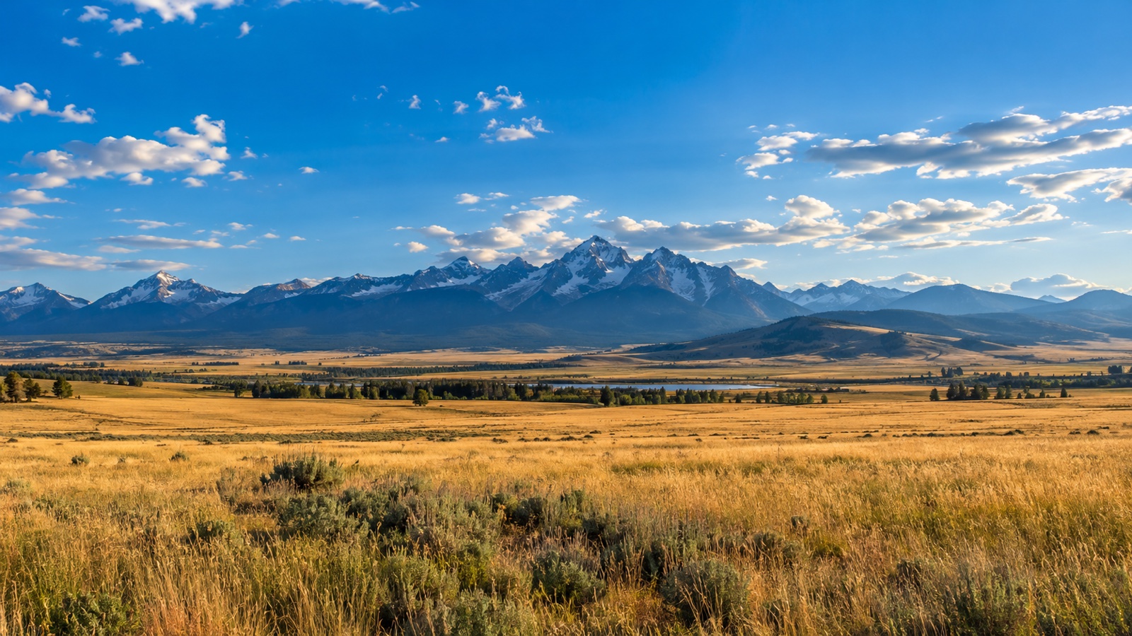 Montana prairie and distant Rocky Mountains beneath a huge blue sky